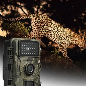 Waterproof Hunting Trail Camera
